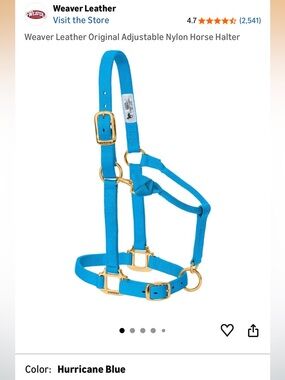 Weaver Leather Hurricane Blue Nylon Horse Halter 1” Yearling Size